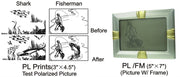 PL Prints (Fisherman)