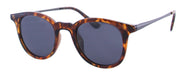 ML1604PL - Wholesale Unisex Polarized Sunglasses in Red Tortoise